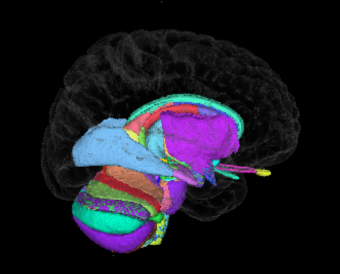 DHBAv2 visualization