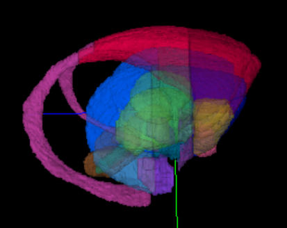 Rhesus macaque visualization