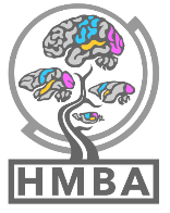 HMBA