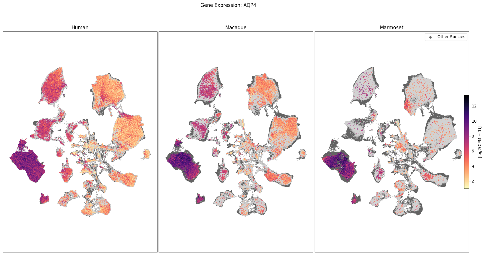 ../_images/621096abfe5bf859bfde1a09c52747526f49722ffe7cc51b17083258545891c2.png
