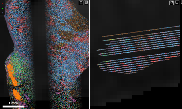 Before tilting cross-section plane