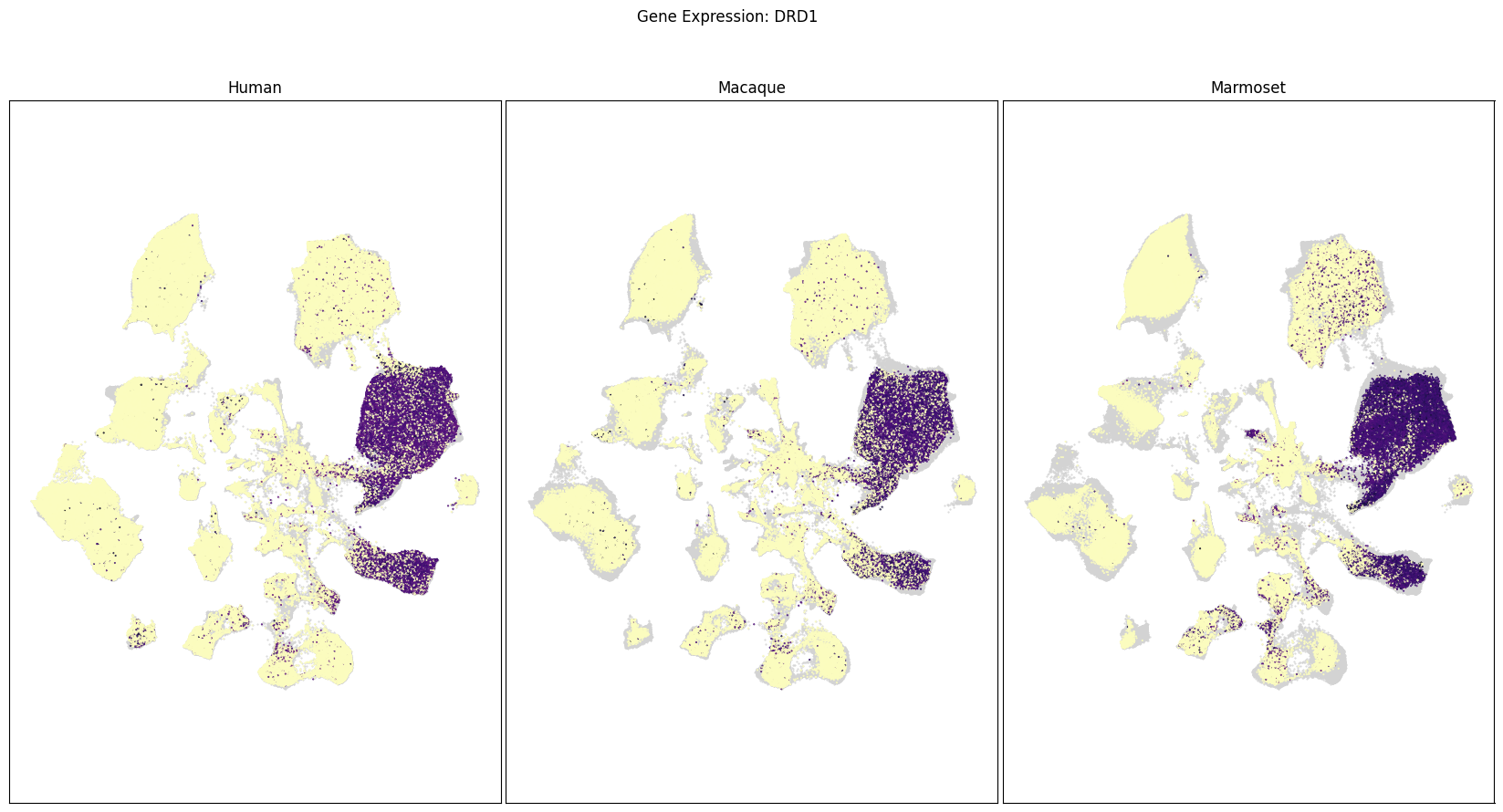 ../_images/fa88a34b99cb60c6975aef3c49a16348215df6a517de56ea8aa0cf54af2332ae.png