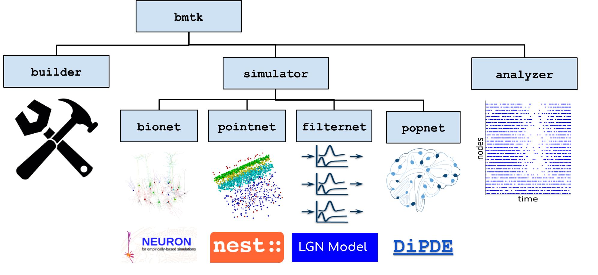 The Introductory Guide To Neuroscience Emotiv