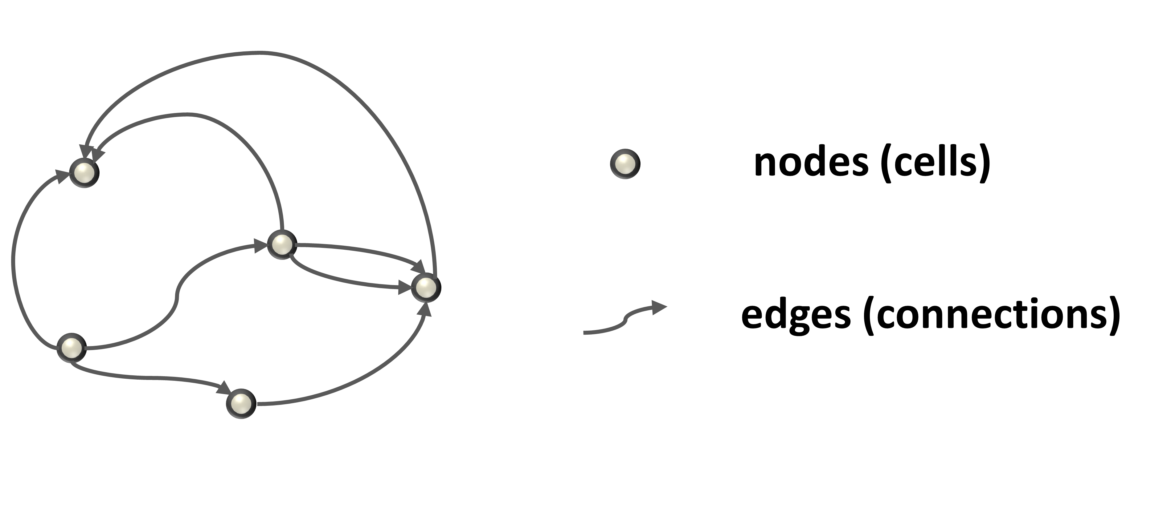 network-file-formats-brain-modeling-toolkit-1-0-7-documentation