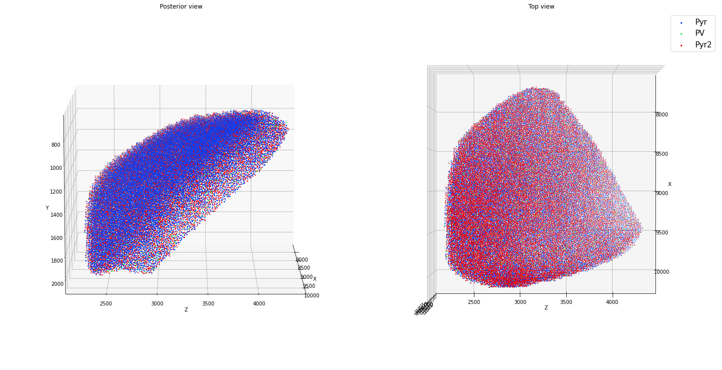 ../_images/tutorials_cell_placement_16_1.png