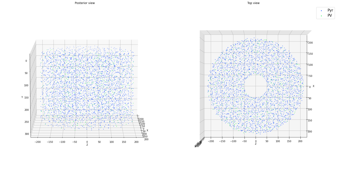 ../_images/tutorials_cell_placement_20_1.png