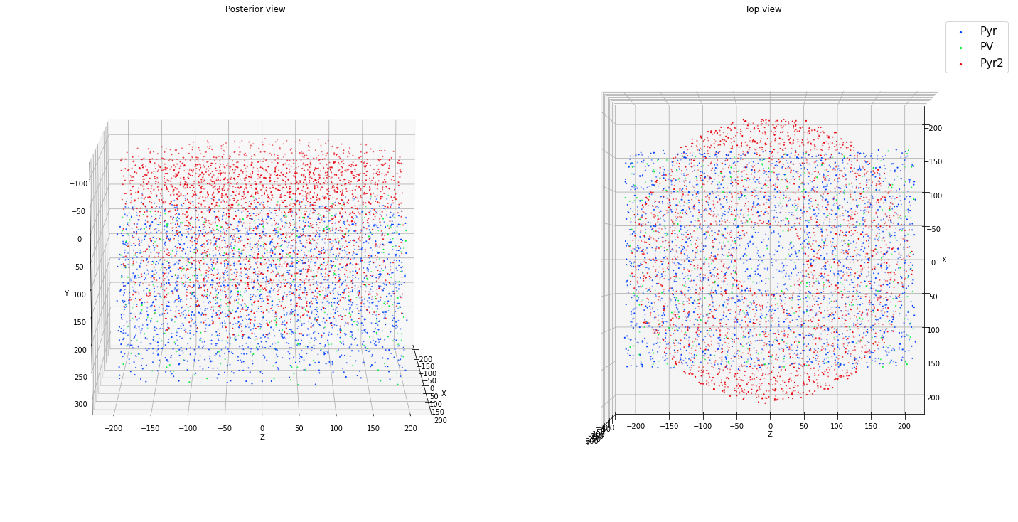 ../_images/tutorials_cell_placement_21_1.png