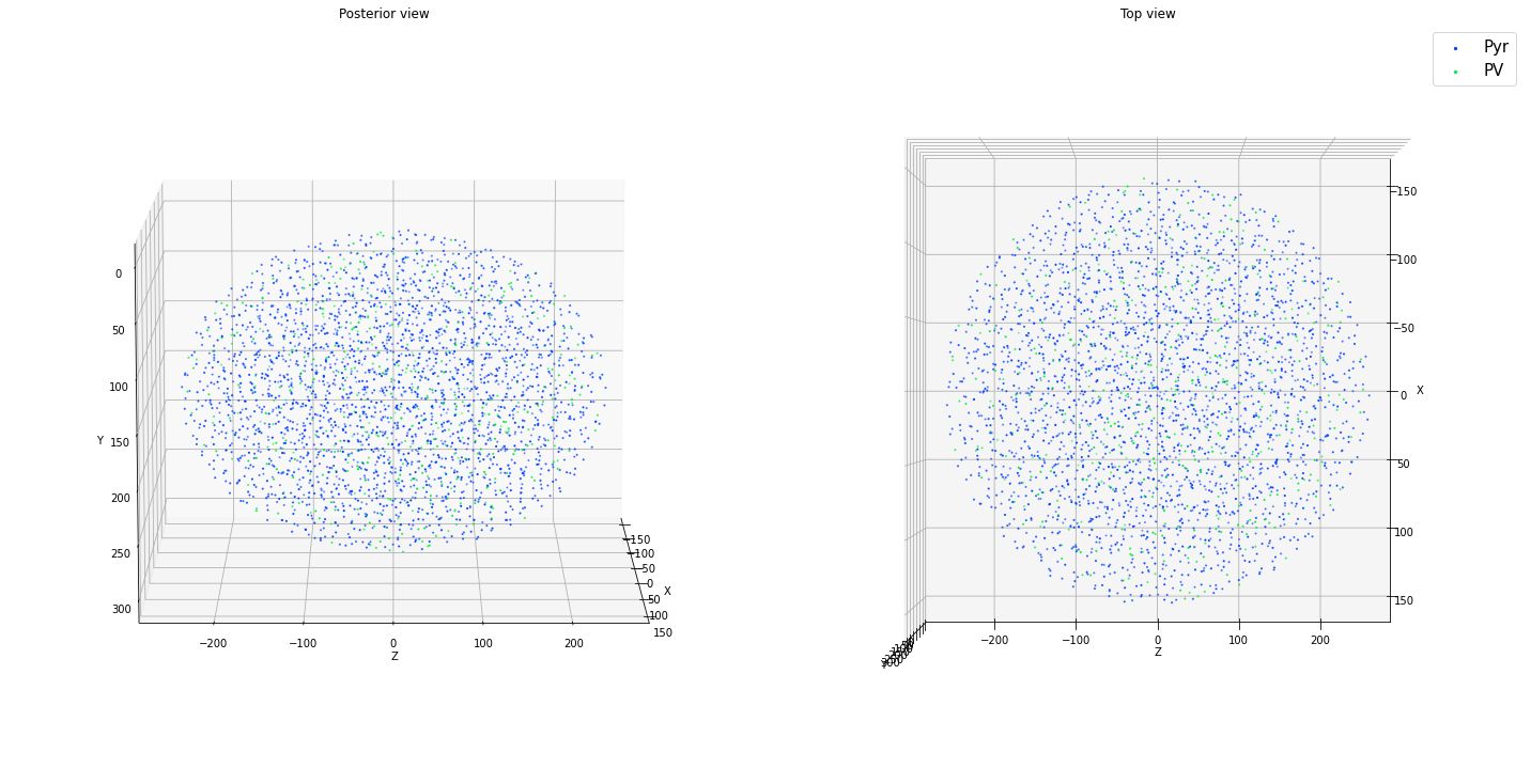 ../_images/tutorials_cell_placement_22_1.png