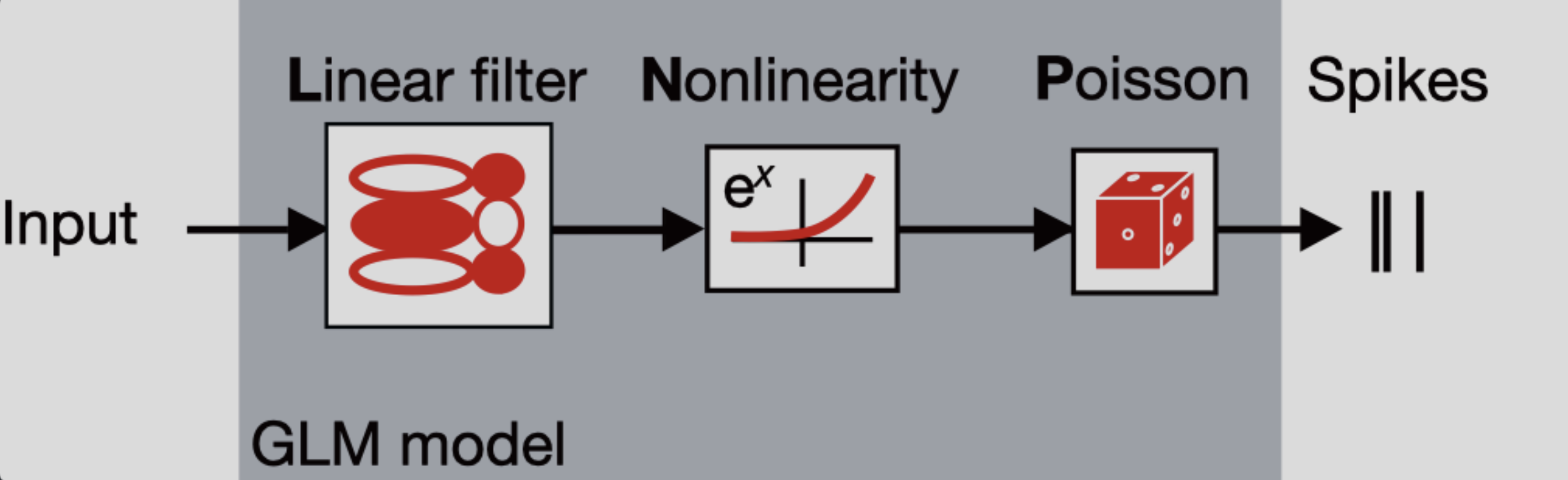 LNP model schematic
