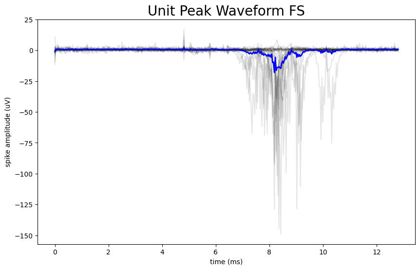 <Figure size 1000x600 with 1 Axes>