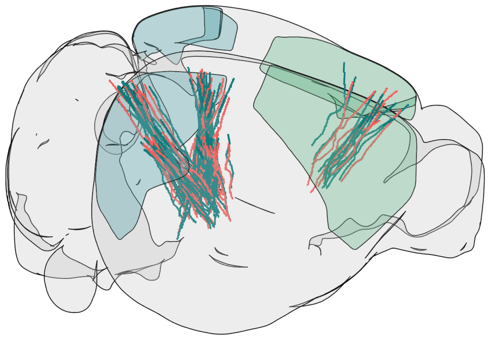 <Figure size 2000x6000 with 1 Axes>