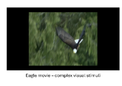 image-2.png