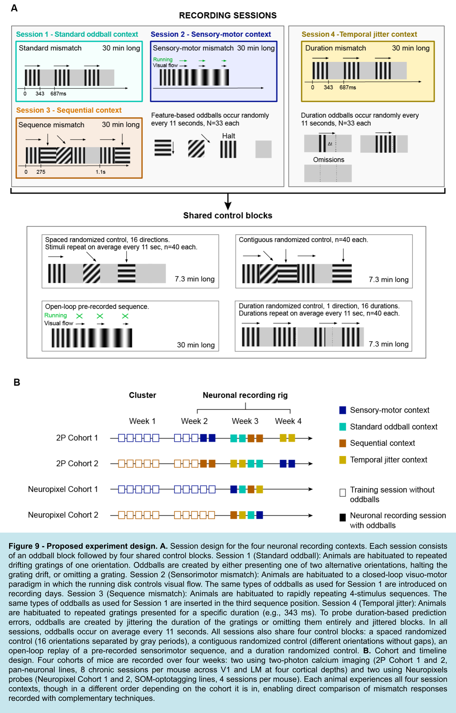 Predictive processing stimulus overview